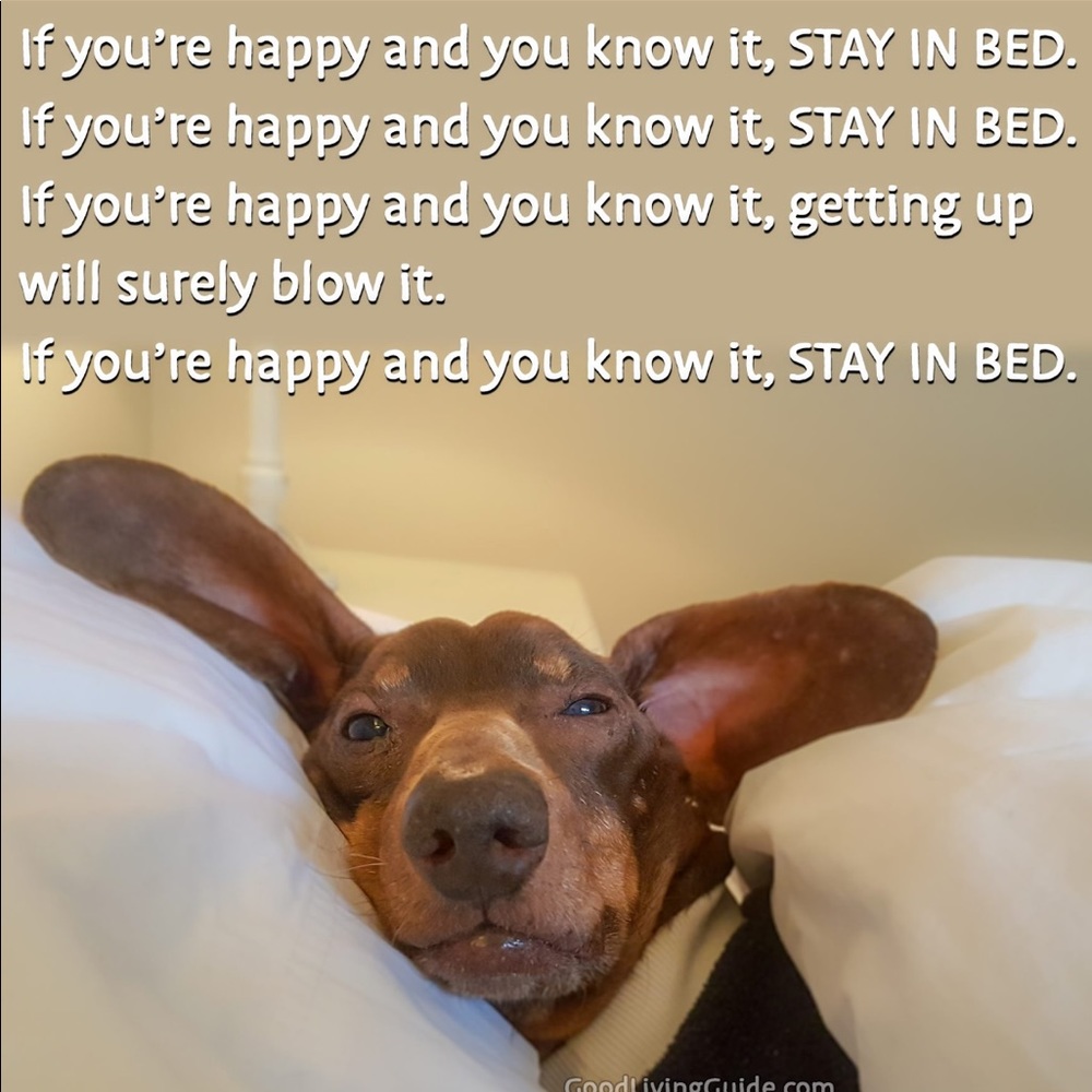 Sleep & Fun!!
